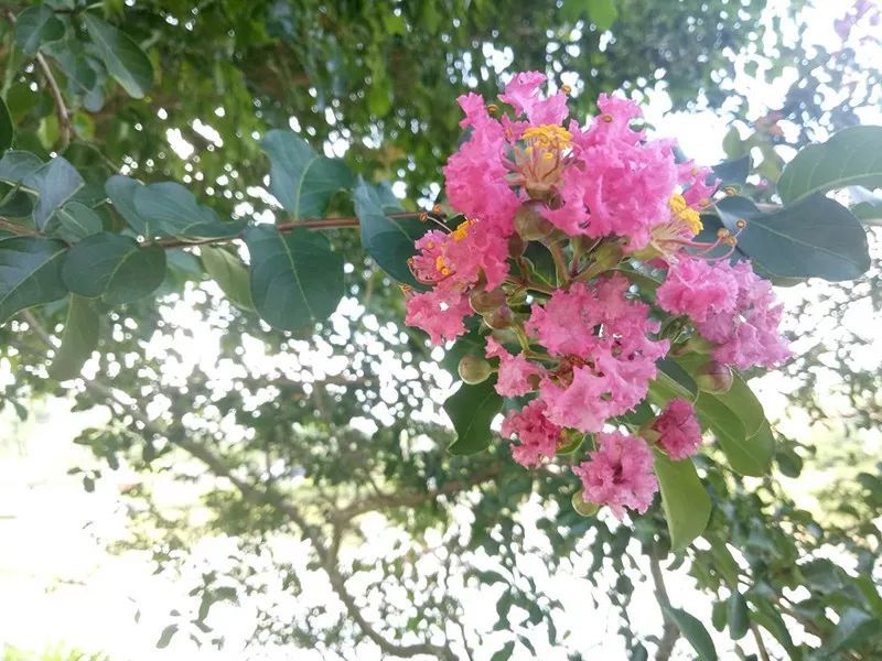 綠水青山，聯(lián)翩而至，綠聯(lián)2018云浮之旅