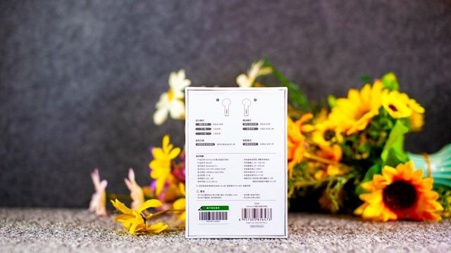 綠聯(lián)小海豚耳機體驗：小身材大音質(zhì)，AirPods百元平替